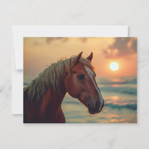 Pferdeprofil Sonnenuntergang am Strand Postkarte