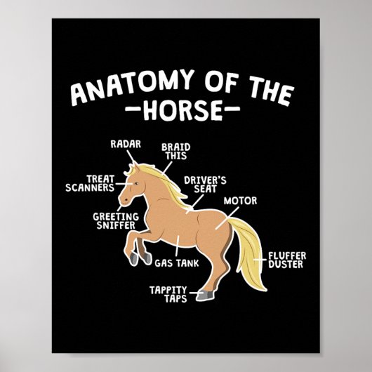 Pferdepun-Anatomie von Pferderücken Poster (Vorne)