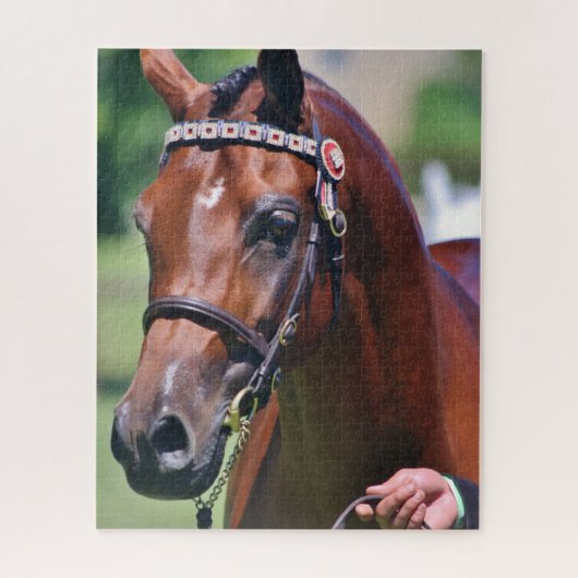 Pferderasse Arabische Rasse Puzzle (Vertikal)