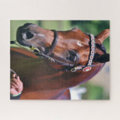 Pferderasse Arabische Rasse Puzzle (Horizontal)