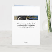 Pferderegrußkarte - Der junge Hengst der Camargue  Karte (Rückseite)