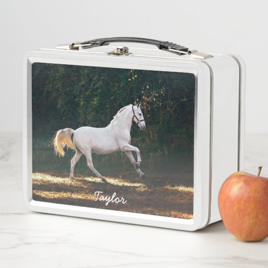 Pferdereiten Reitausflug nach Maß Metall Brotdose (Beispiel)