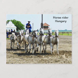 Pferdereiter in Ungarn Postkarte