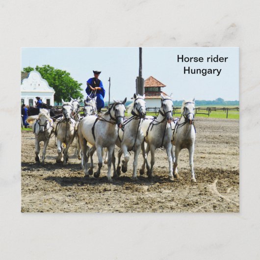 Pferdereiter in Ungarn Postkarte (Vorderseite)