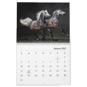 Pferdereitkalender Kalender (Jan 2027)