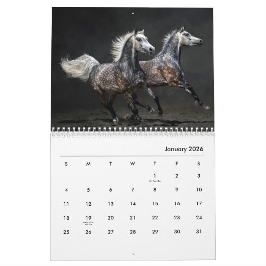 Pferdereitkalender Kalender (Jan 2026)