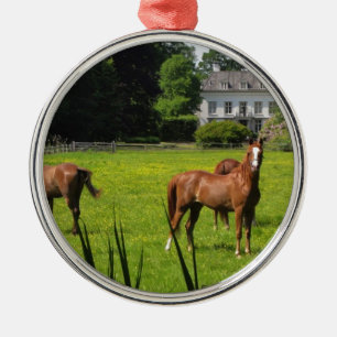 Pferderennbauernhof Zerstörung der Natur Ornament Aus Metall