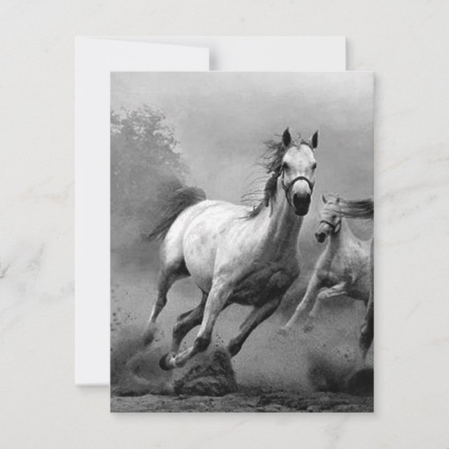 Pferderennen (Vorderseite)