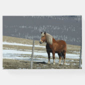 Pferderennen in Paddock - Gästebuch (Rückseite)