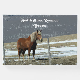 Pferderennen in Paddock - Gästebuch