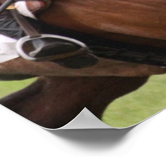 Pferderennen Poster (Ecke)