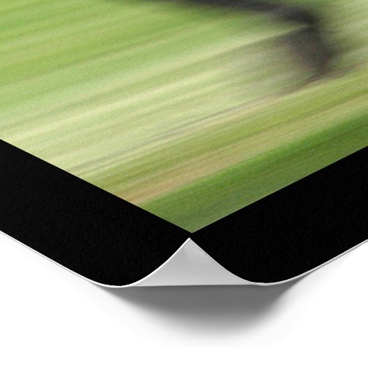 Pferderennen Poster (Ecke)