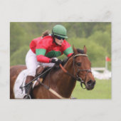 Pferderennen Postkarte (Vorderseite)