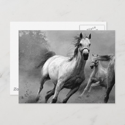 Pferderennen Postkarte (Vorne/Hinten)