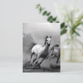 Pferderennen Postkarte (Stehend Vorderseite)