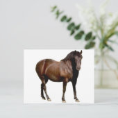 Pferderennen Postkarte (Stehend Vorderseite)