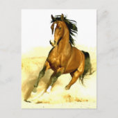 Pferderennen Postkarte (Vorderseite)