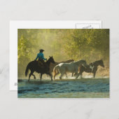 Pferderennfahrer Postkarte (Vorne/Hinten)