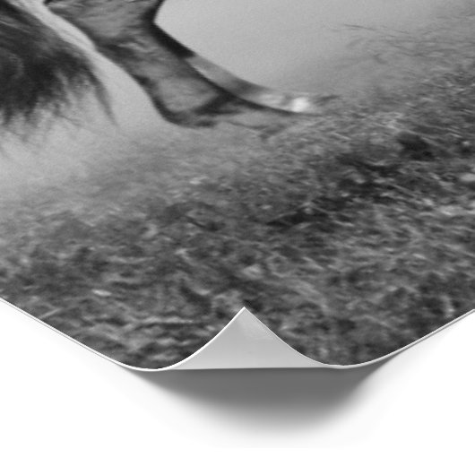 Pferderennlauf Poster (Ecke)