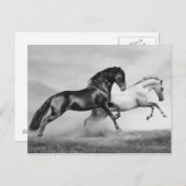 Pferderennlauf Postkarte (Vorne/Hinten)