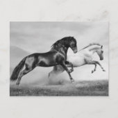 Pferderennlauf Postkarte (Vorderseite)