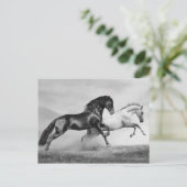 Pferderennlauf Postkarte (Stehend Vorderseite)