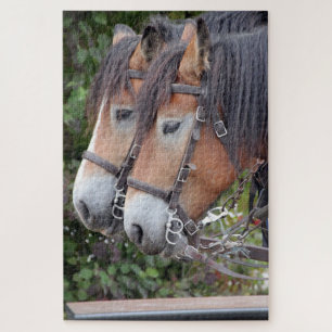 Pferderennpaare von Clydesdales Puzzle