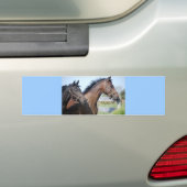 Pferderennstrecke Autoaufkleber (Auf Auto)