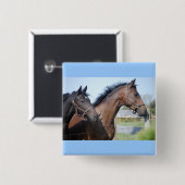 Pferderennstrecke Button (Vorne & Hinten)