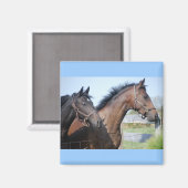 Pferderennstrecke Magnet (Vorderseite/Rückseite)