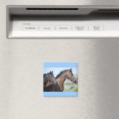 Pferderennstrecke Magnet (In Situ (Geschirrspüler))