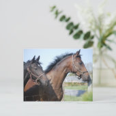 Pferderennstrecke Postkarte (Stehend Vorderseite)