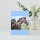 Pferderennstrecke Postkarte (Stehend Vorderseite)