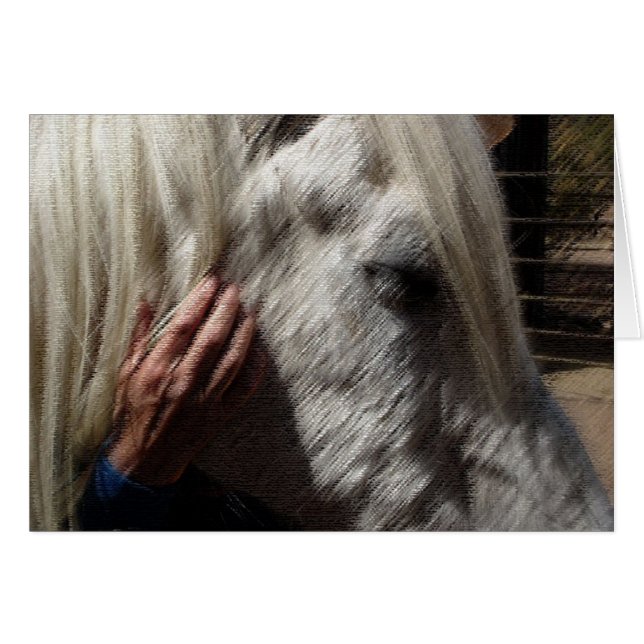 Pferderiebtheit (Vorderseite (Horizontal))