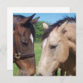 Pferderobe Einladung (Vorne/Hinten)