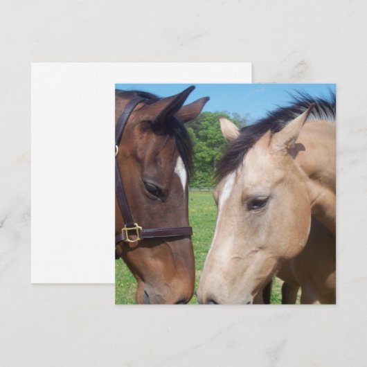 Pferderobe Einladung (Vorne/Hinten)