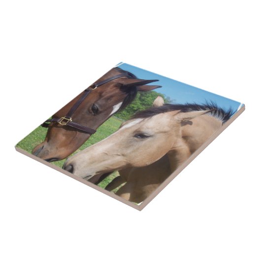 PferdeRomance Fliese (Seite)