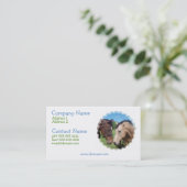 PferdeRomance Visitenkarte (Stehend Vorderseite)