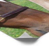 Pferderomantik-Poster drucken Poster (Ecke)