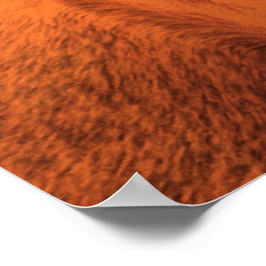 Pferderücken mit Western-Sattel Poster (Ecke)