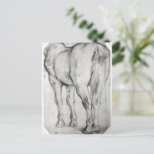 Pferderücken Postkarte (Stehend Vorderseite)