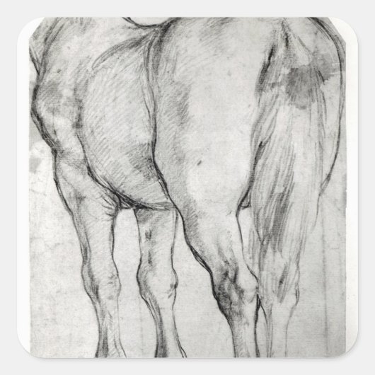 Pferderücken Quadratischer Aufkleber (Vorderseite)