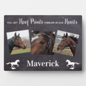 Pferderücktrittskarte Fotoplatte (Vorderseite)