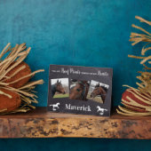 Pferderücktrittskarte Fotoplatte (Seite)