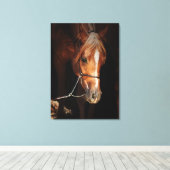 Pferdesammlung: arabisch rot leinwanddruck (Insitu (Holzboden))