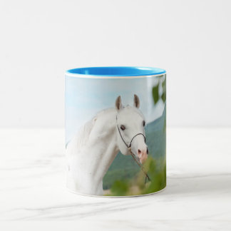 Pferdesammlung. arabisch zweifarbige tasse