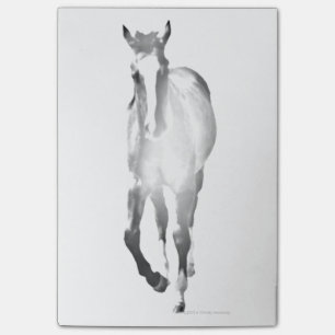 Pferdeschatten Post-it Klebezettel