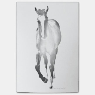 Pferdeschatten Post-it Klebezettel
