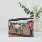 Pferdeschau-Showmanship Postkarte (Stehend Vorderseite)