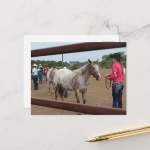 Pferdeschau-Showmanship Postkarte